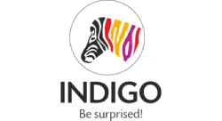 Indigo Paints